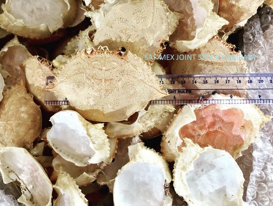 Dried Crab Shell