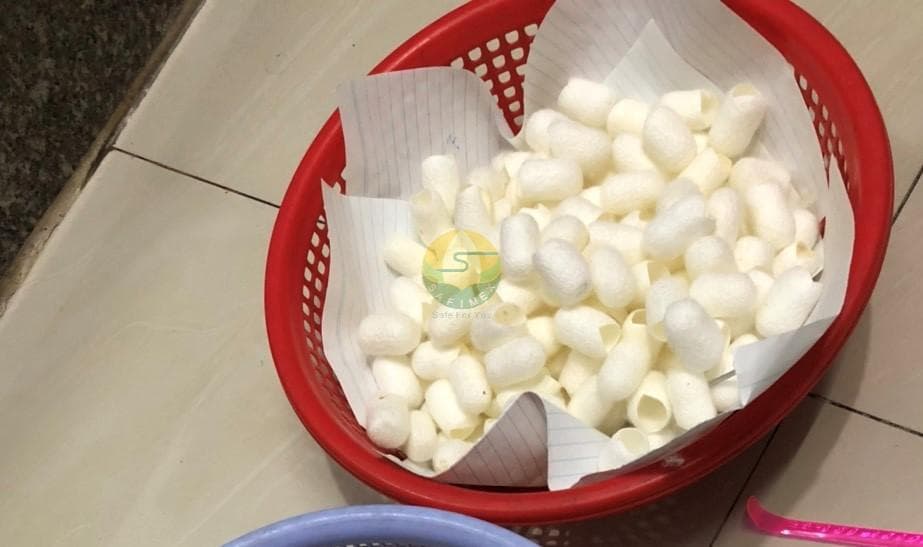 Silk Worm Cocoon for Skincare