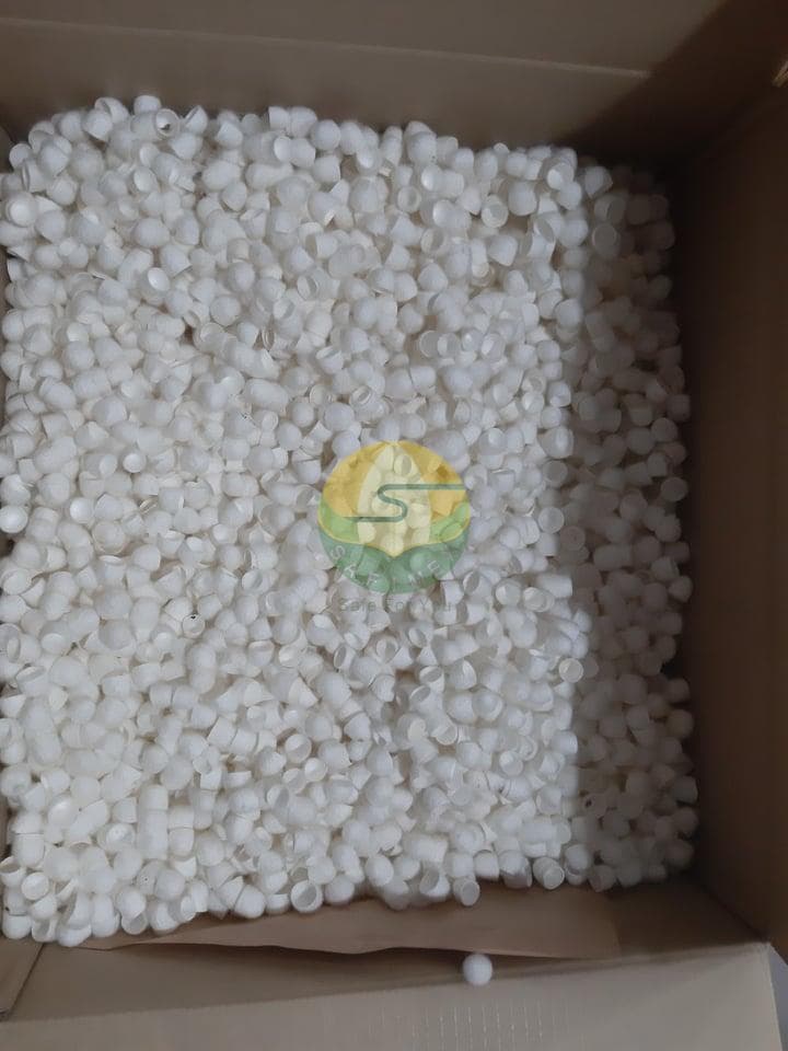 Silk Worm Cocoon for Skincare