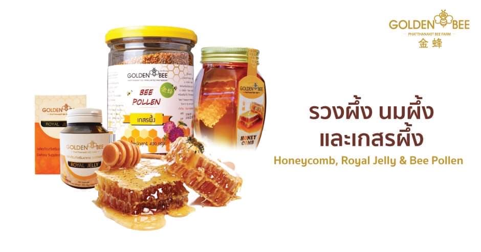 ผึ้งทอง (Golden Bee)