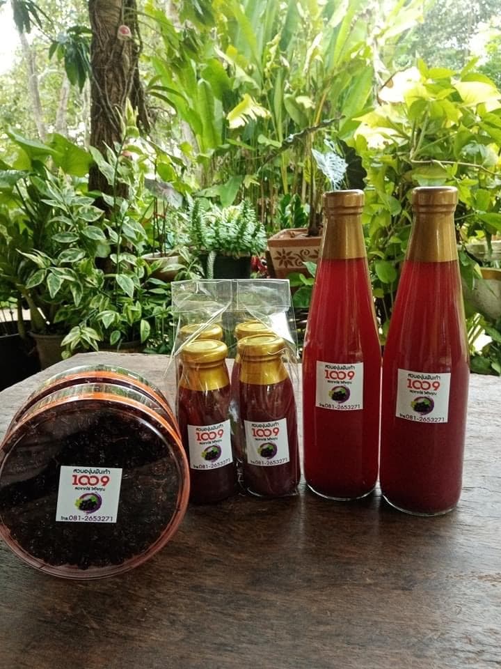Thousand Nine Grapes Garden in Wang Nam Khiao
