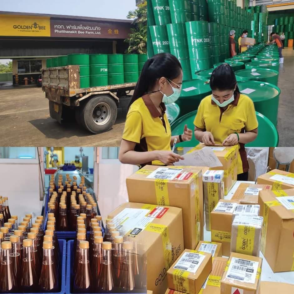 ผึ้งทอง (Golden Bee)
