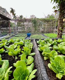 Farm