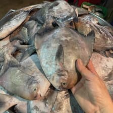 Plafish อาหารทะเลสด by Sodchon