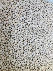 Dok Kham Tai Mushroom Farm