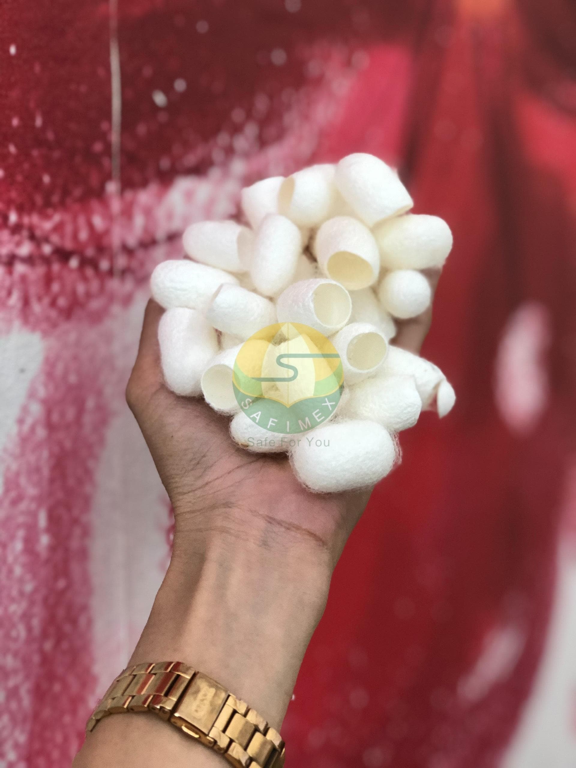 Silk Worm Cocoon for Skincare