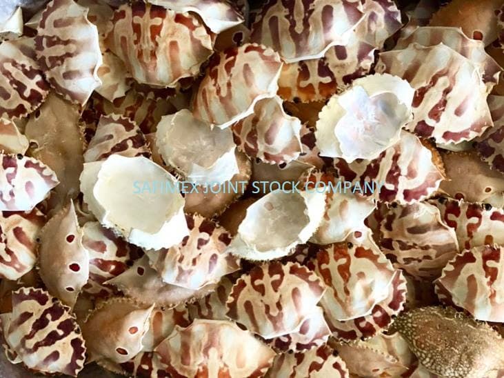 Dried Crab Shell