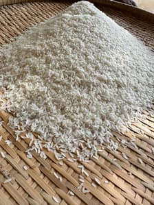 โอวา (ovasurinrice100%)