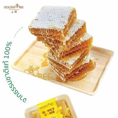 ผึ้งทอง (Golden Bee)