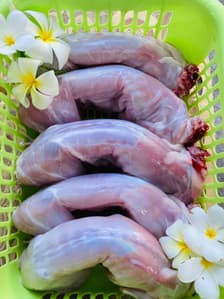 Halal Rabbit meat