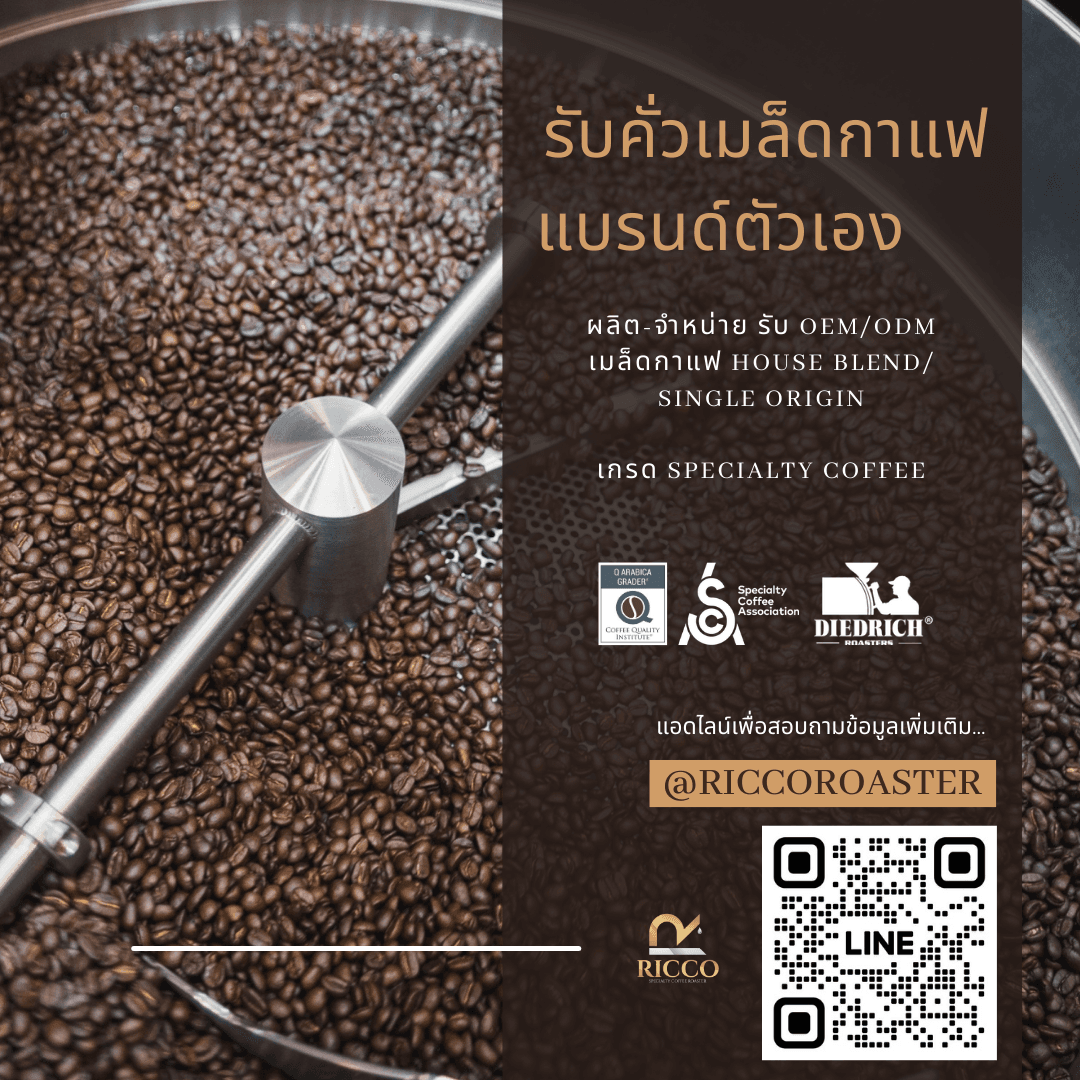 รับคั่ว-จำหน่ายเมล็ดกาแฟเกรด Specialty Coffe_Ricco.Roaster