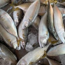 Plafish อาหารทะเลสด by Sodchon
