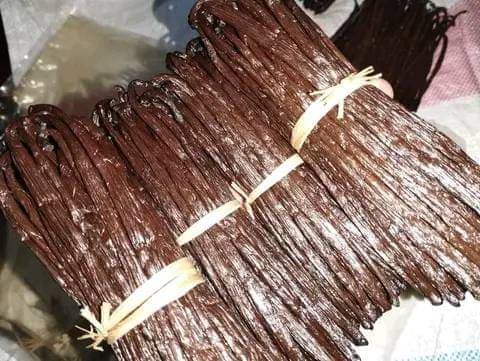 วนิลาเกรดพรีเมี่ยม - จัดส่งฟรีในประเทศไทย - Premium grade vanilla - Free Delivery in Thailand