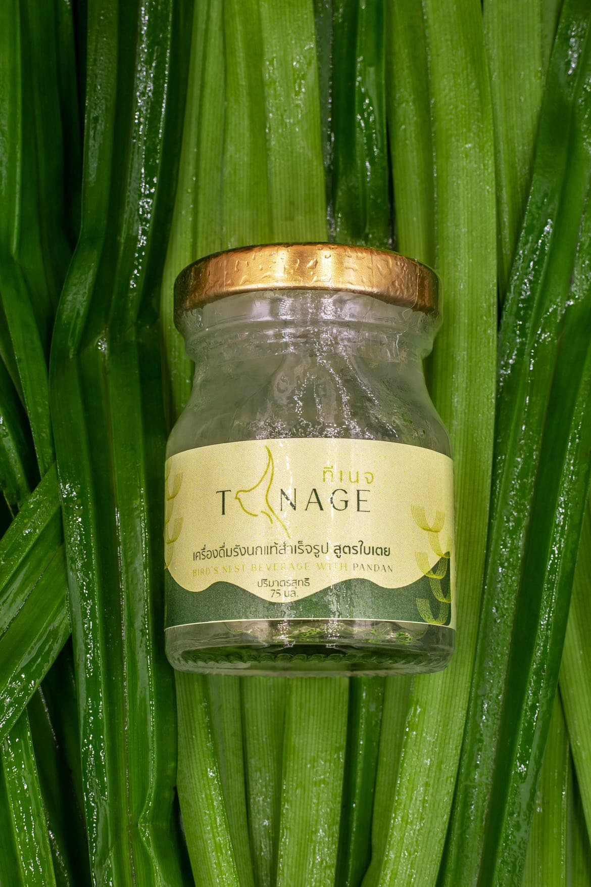 T-NAGE เครื่องดื่มรังนก รังนกรุ่งนก