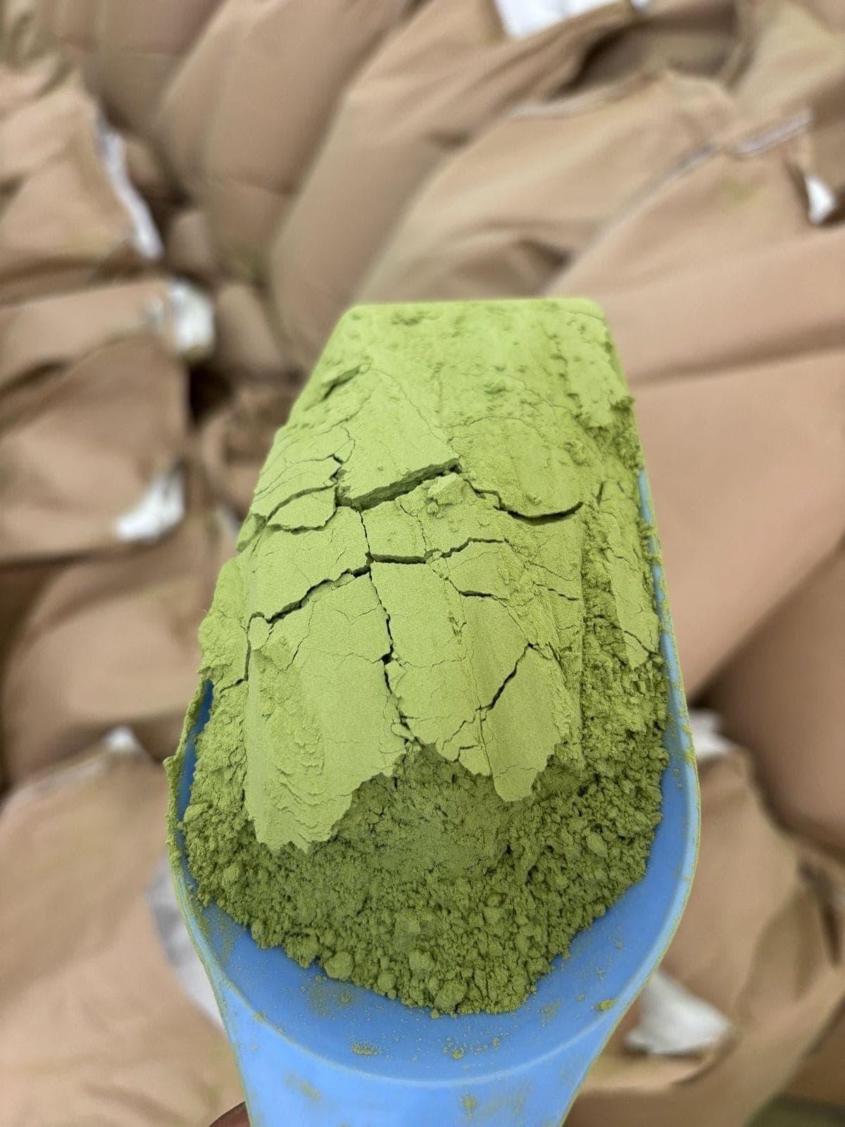 Premium quality 100% organic Moringa leaf powder. Rich in vitamins, minerals, and antioxidants. Cultivated naturally and hygienically packed. Certified vegetarian and halal food."