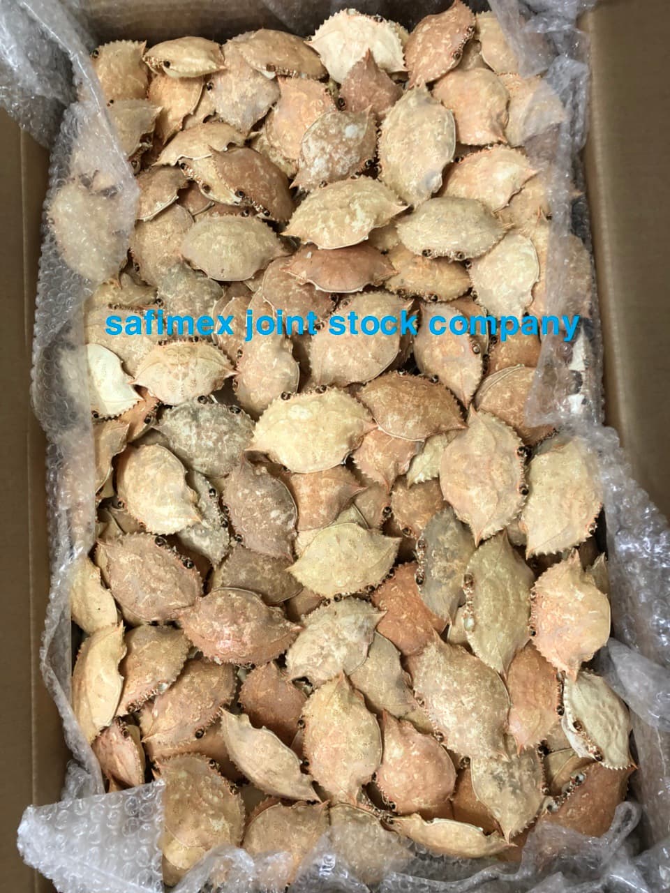 Dried Crab Shell