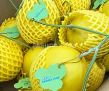 PASUDA FOOD 