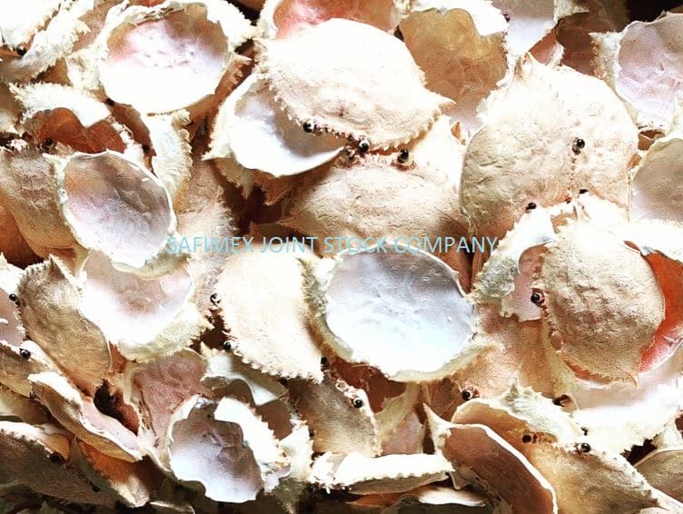Dried Crab Shell