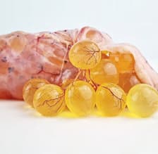 FISHDELII