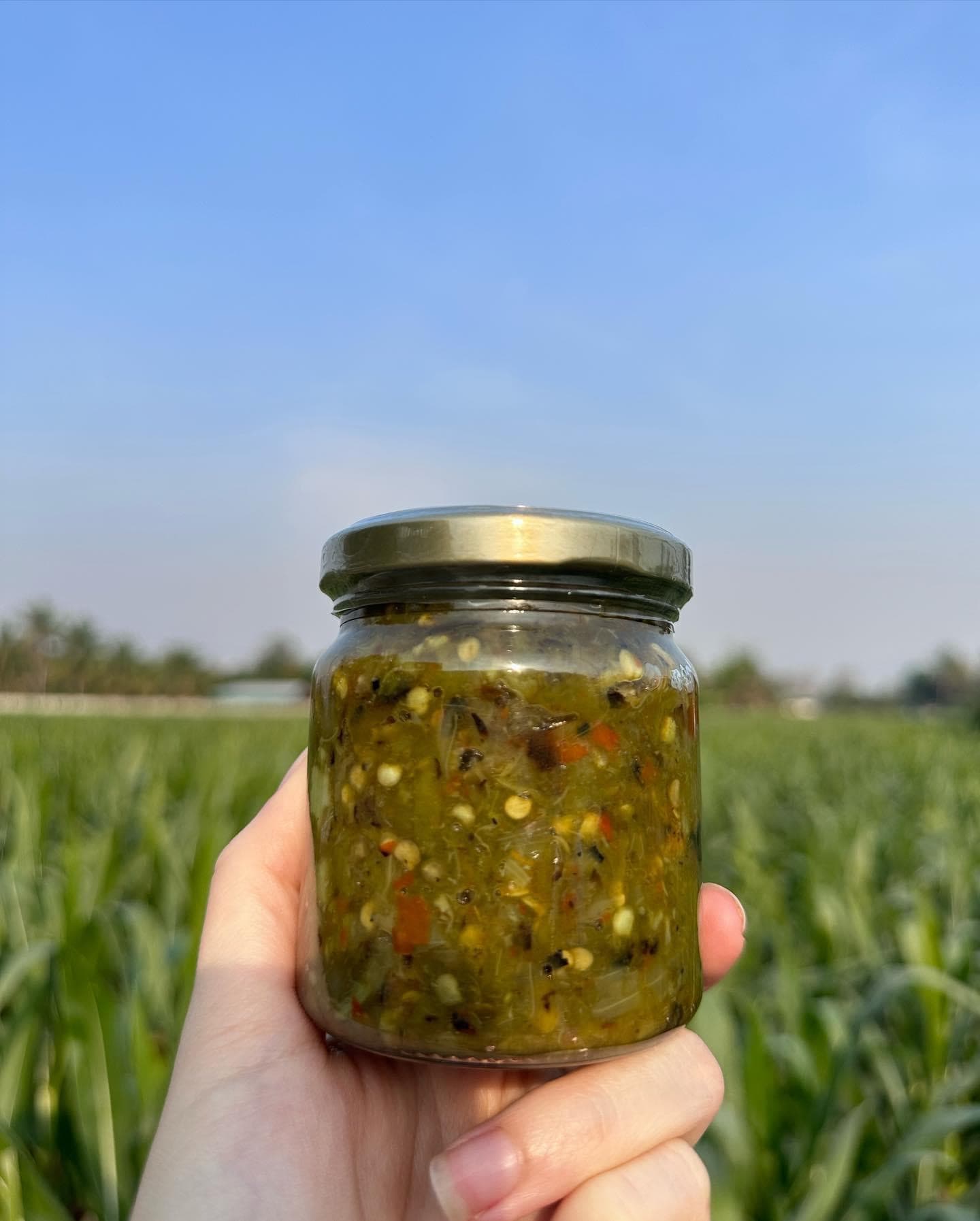 มิสเตอร์น้ำพริก (น้ำพริกหนุ่ม)