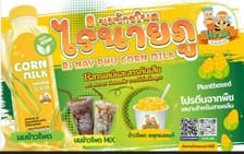 Ri NayPhu Corn Milk (นมข้าวโพดไร่นายภู)