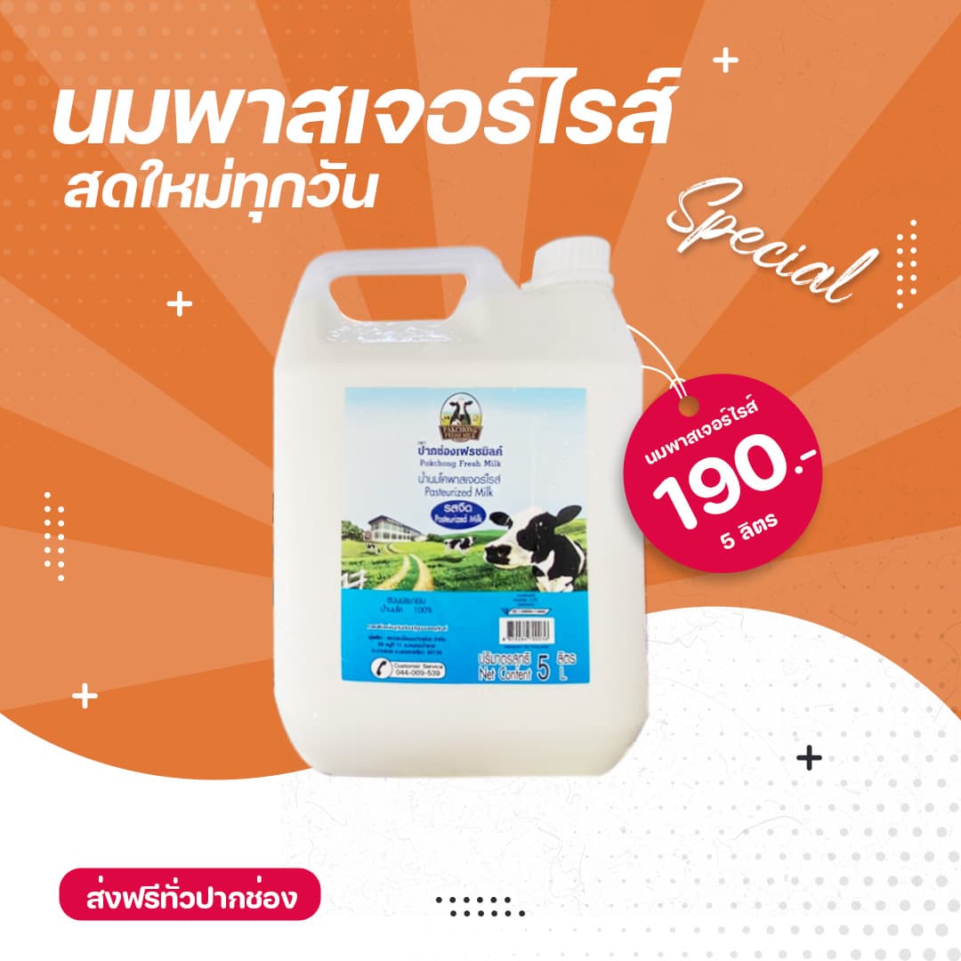 นมพาสเจอร์ไรส์ ปากช่องเฟรชมิลค์