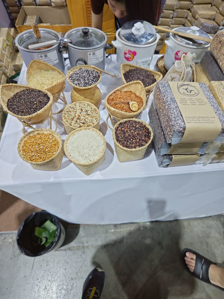 Grains of the Future