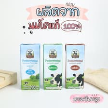 Pakchong Fresh Milk