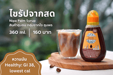 Syrup from Nipa Palm Syrup