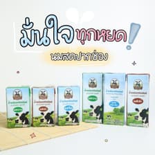 Pakchong Fresh Milk
