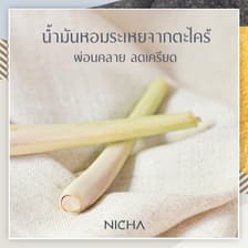 ชาตะไคร้ขิง 25 ซอง/ Lemongrass Ginger Tea 25 Sachet 