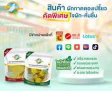 Pickled cabbage, Pigeon brand