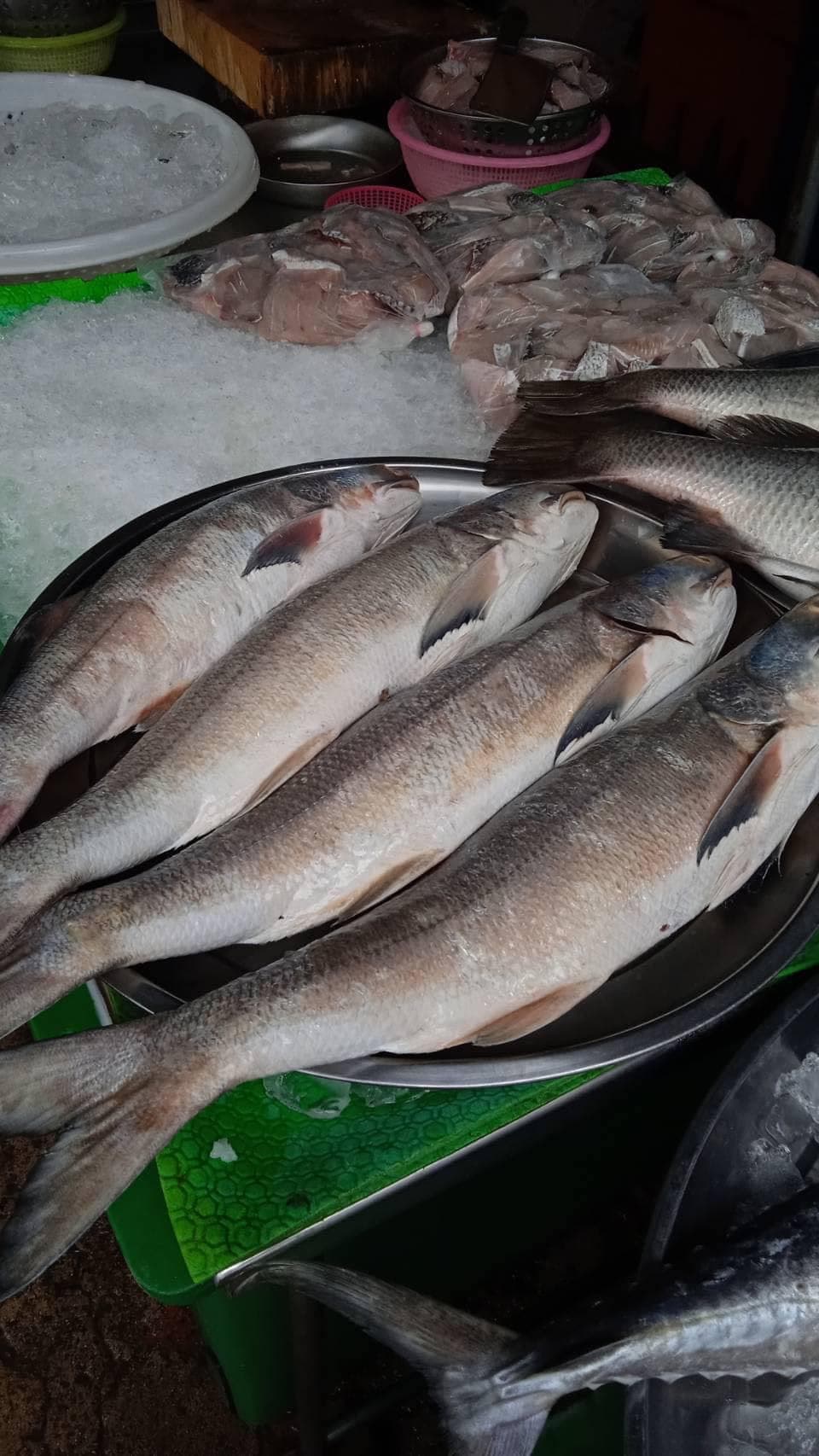 Plafish อาหารทะเลสด by Sodchon