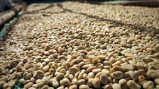 Thepsadej green bean - Washed Process