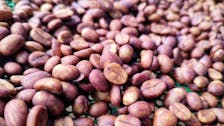 Thepsadej green bean - Honey process