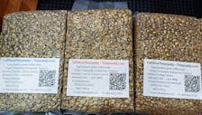 Thepsadej green bean - Natural (Dry) Process